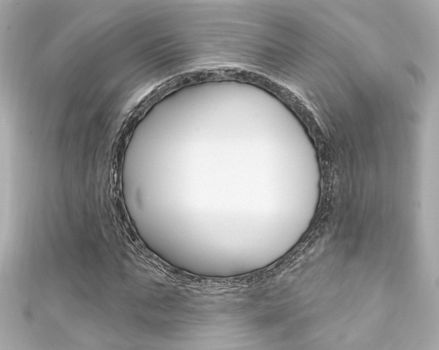 X0000111590871200907161151