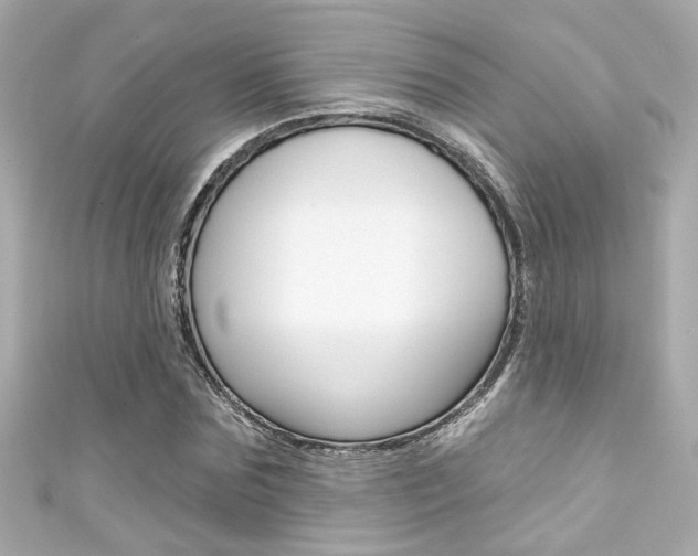 X0000111590875200907161151