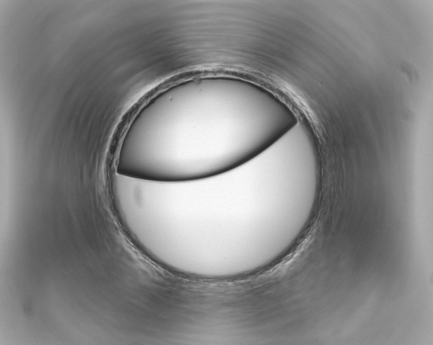 X0000111590876200907161151