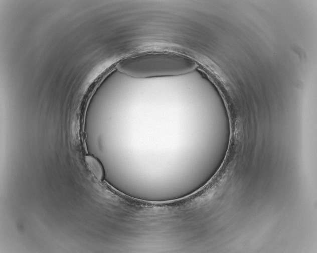 X0000111590877200907161151