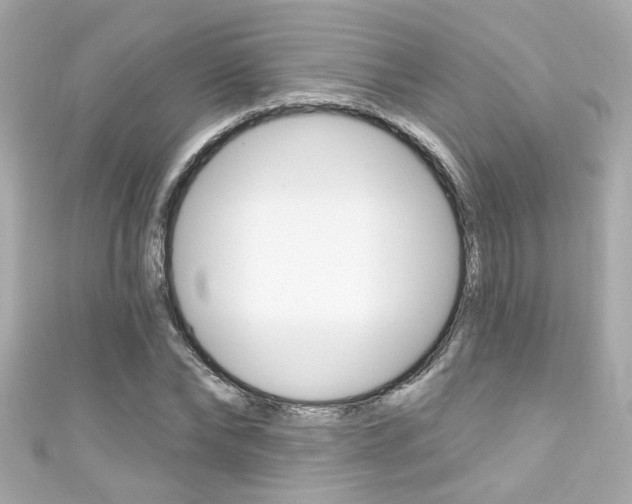 X0000111590878200907161151