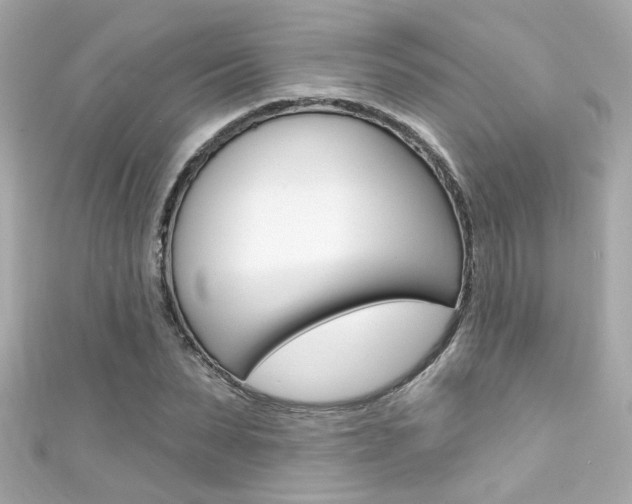 X0000111590879200907161151