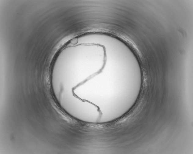 X0000111590882200907161151