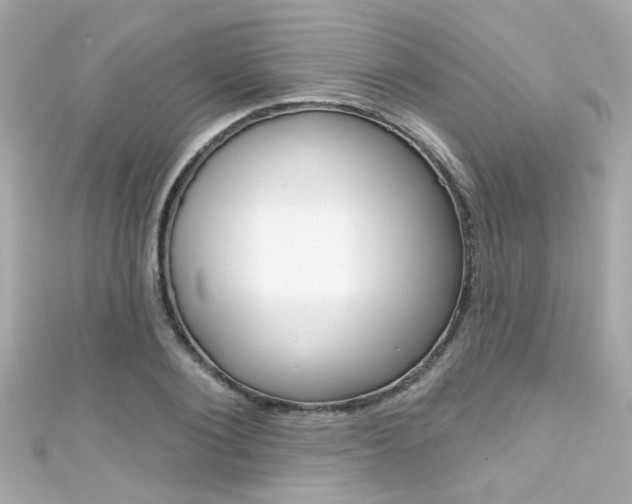 X0000111590884200907161151
