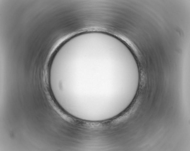 X0000111590886200907161151