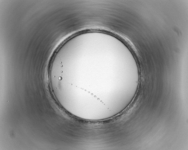 X0000111590887200907161151
