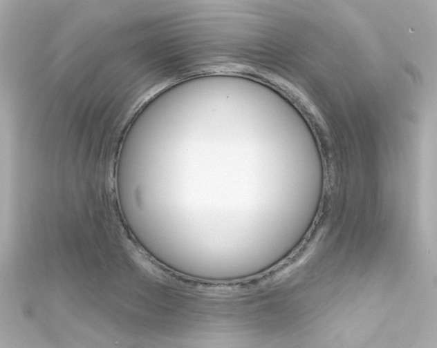 X0000111590889200907161151