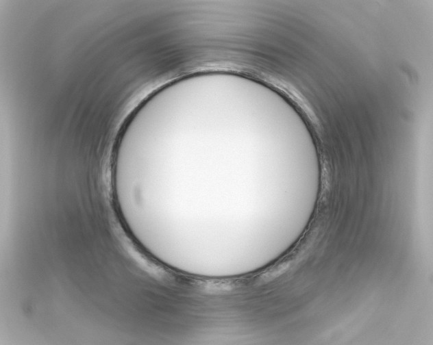 X0000111590890200907161151