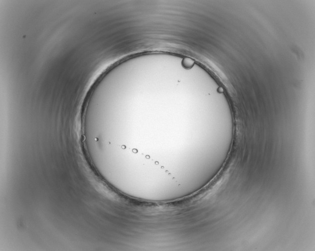 X0000111590891200907161151