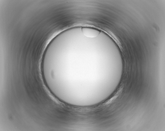 X0000111590893200907161151