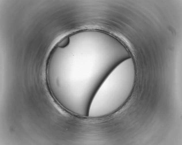X0000111590894200907161151