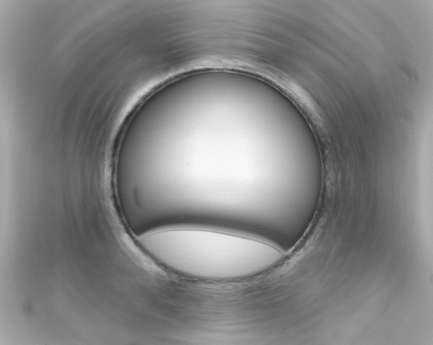 X0000111590896200907161151