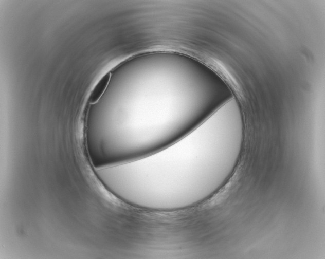 X0000111590900200907161151