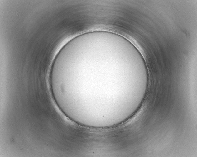 X0000111590901200907161151