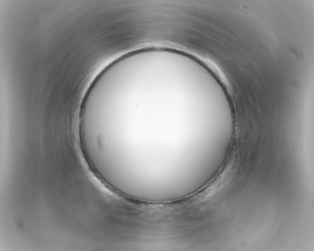 X0000111590903200907161151