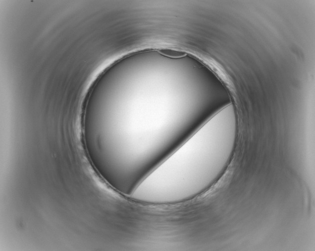 X0000111590904200907161151