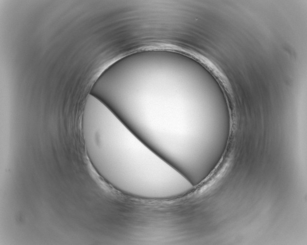 X0000111590905200907161151