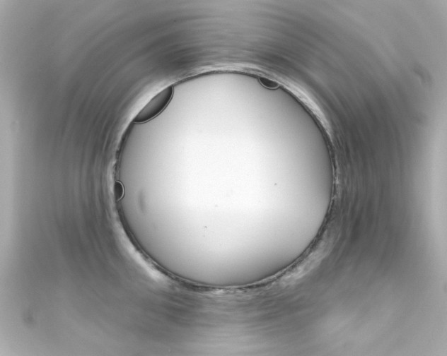 X0000111590906200907161150