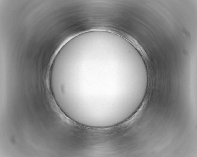 X0000111590908200907161150
