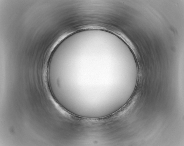 X0000111590909200907161150