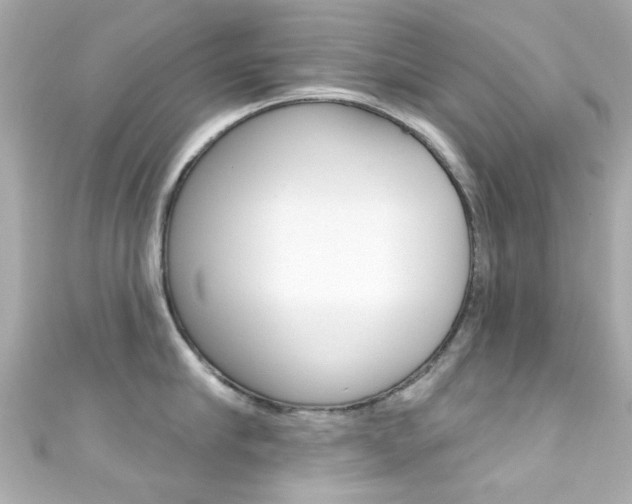 X0000111590910200907161150
