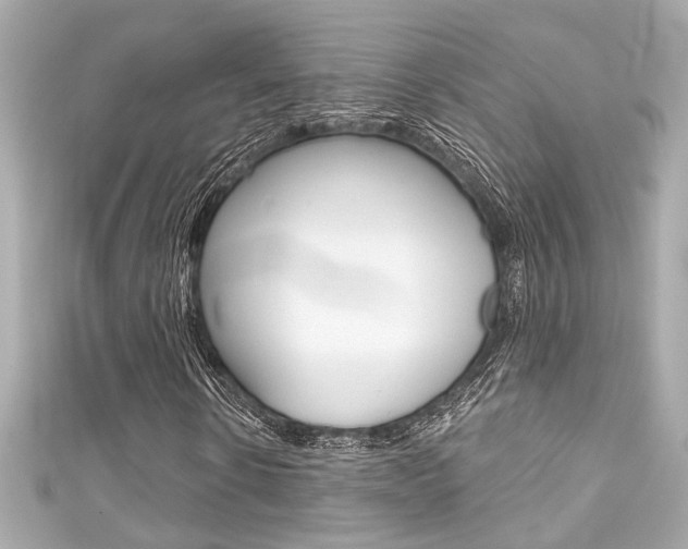 X0000111590914200907161150
