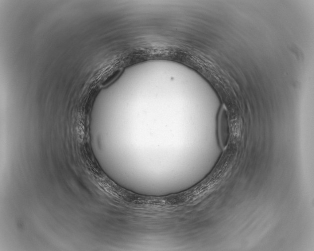 X0000111590916200907161150