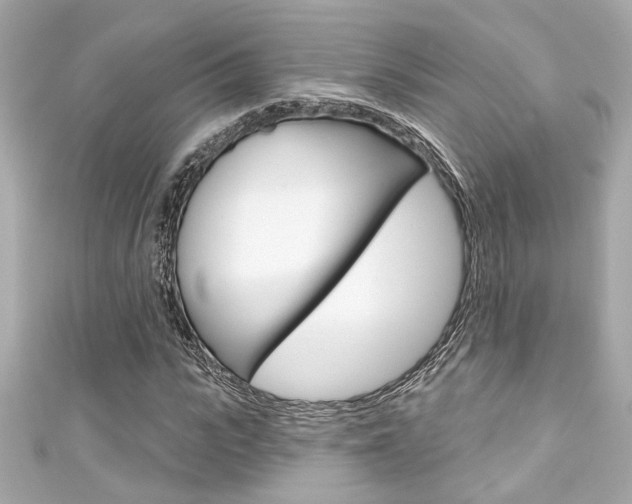 X0000111590919200907161150