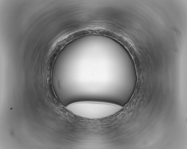 X0000111590920200907161150