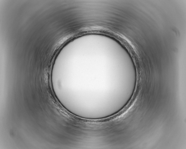 X0000111590921200907161150