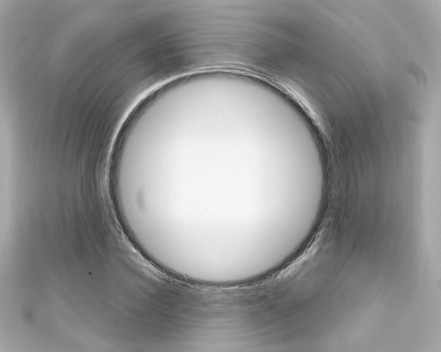 X0000111590924200907161150