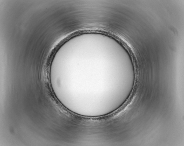 X0000111590925200907161150