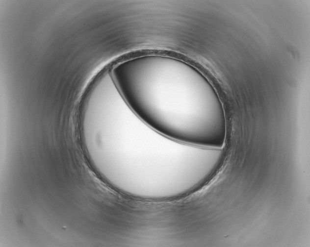 X0000111590926200907161150