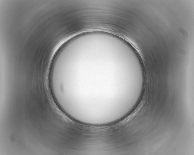 X0000111590928200907161150