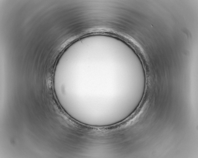 X0000111590929200907161150