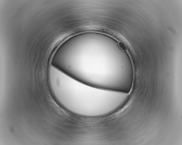 X0000111590930200907161150