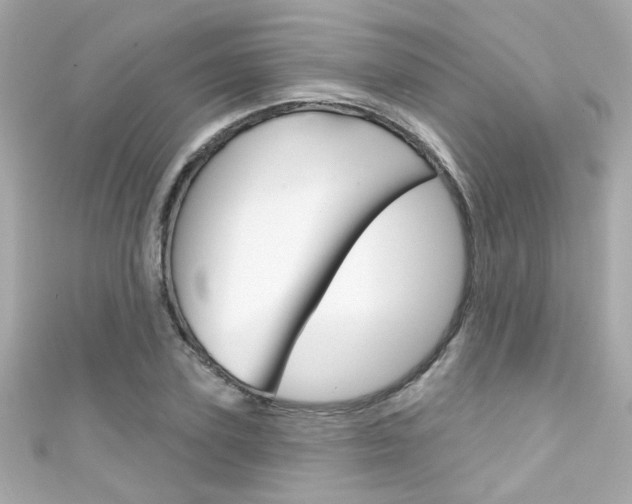 X0000111590931200907161150