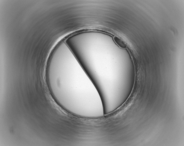 X0000111590932200907161150