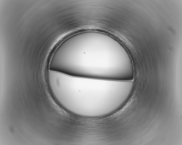 X0000111590934200907161150