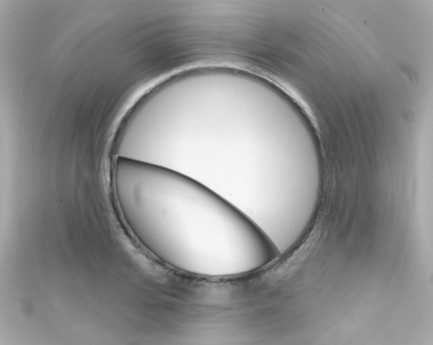 X0000111590935200907161150