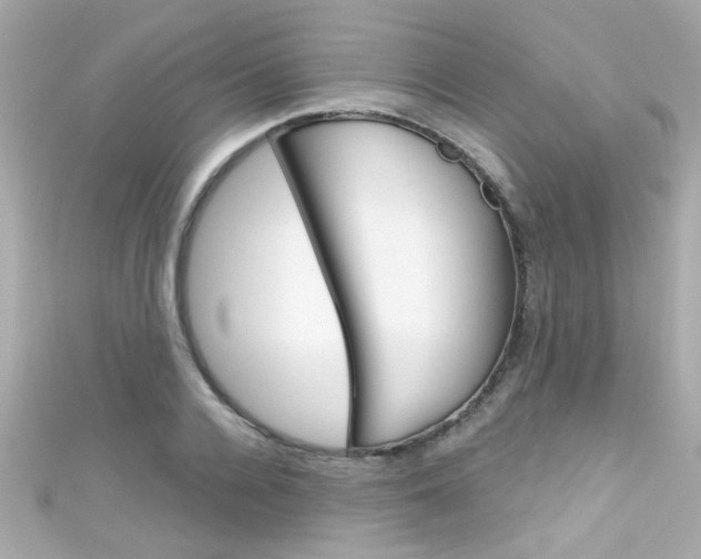 X0000111590936200907161150