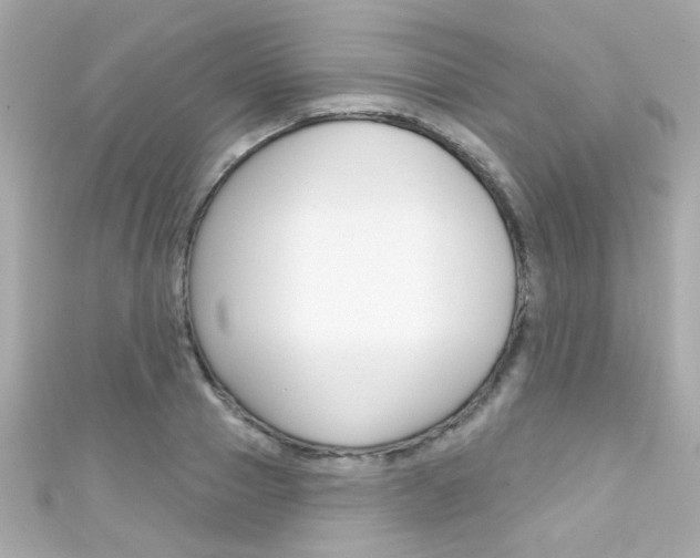 X0000111590937200907161150