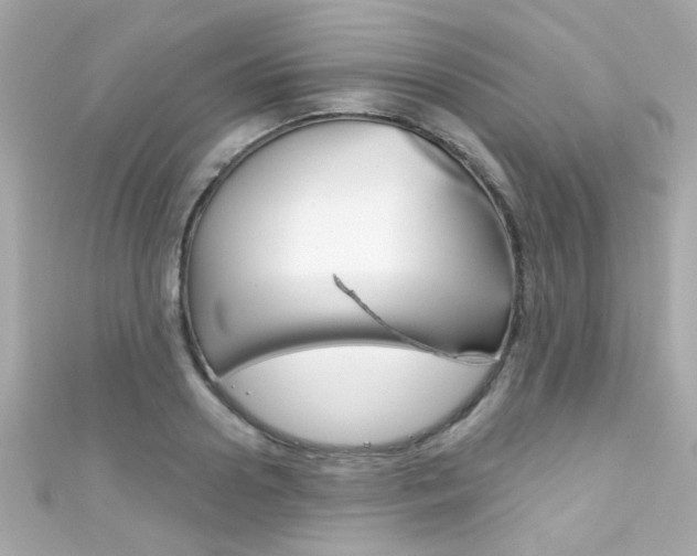 X0000111590938200907161150