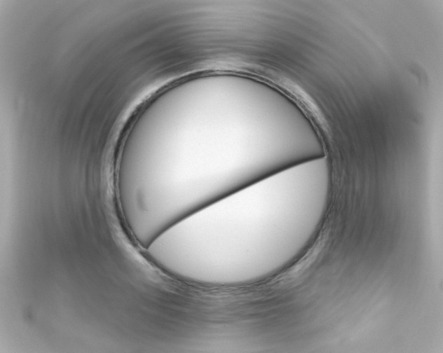X0000111590939200907161150