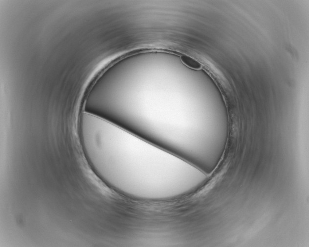 X0000111590940200907161150