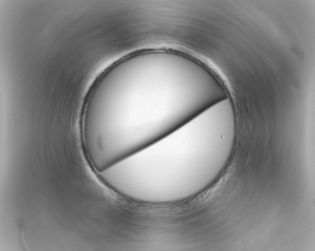 X0000111590943200907161150