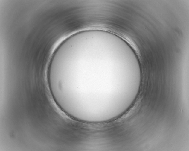 X0000111590944200907161150