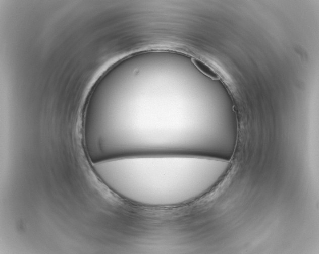 X0000111590948200907161150