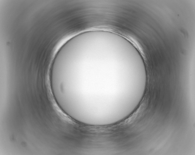 X0000111590952200907161150