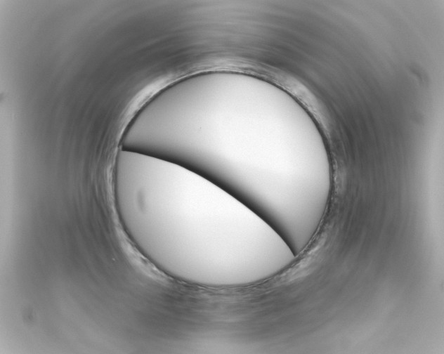 X0000111590954200907161150